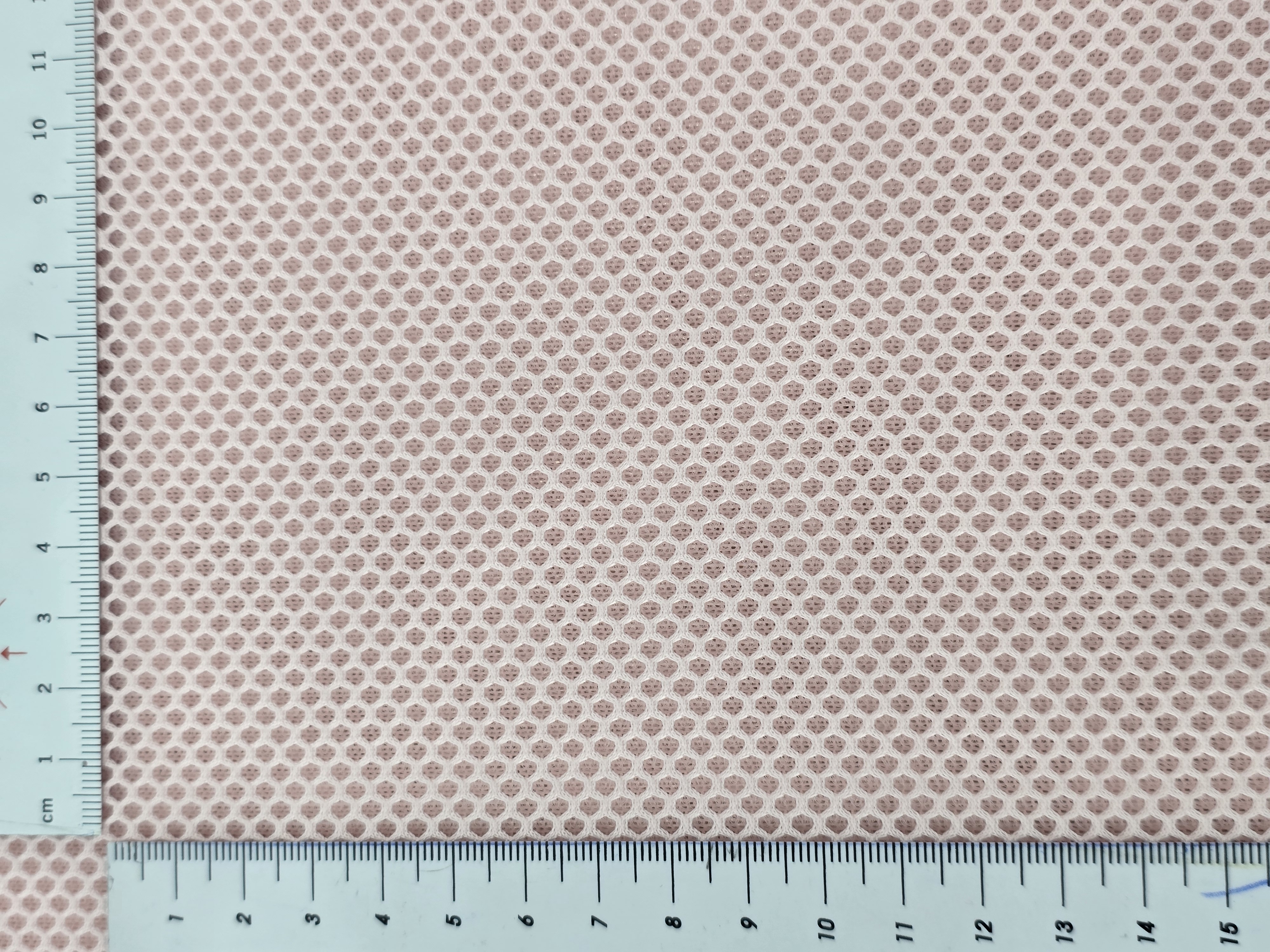 3D Mesh Rosa